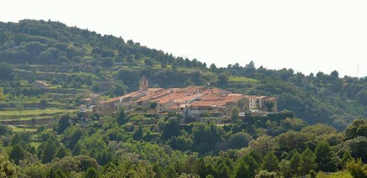 Xalet Casa Leonor *